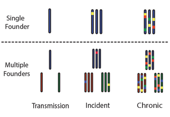 HIV INCIDENCE ASSAY